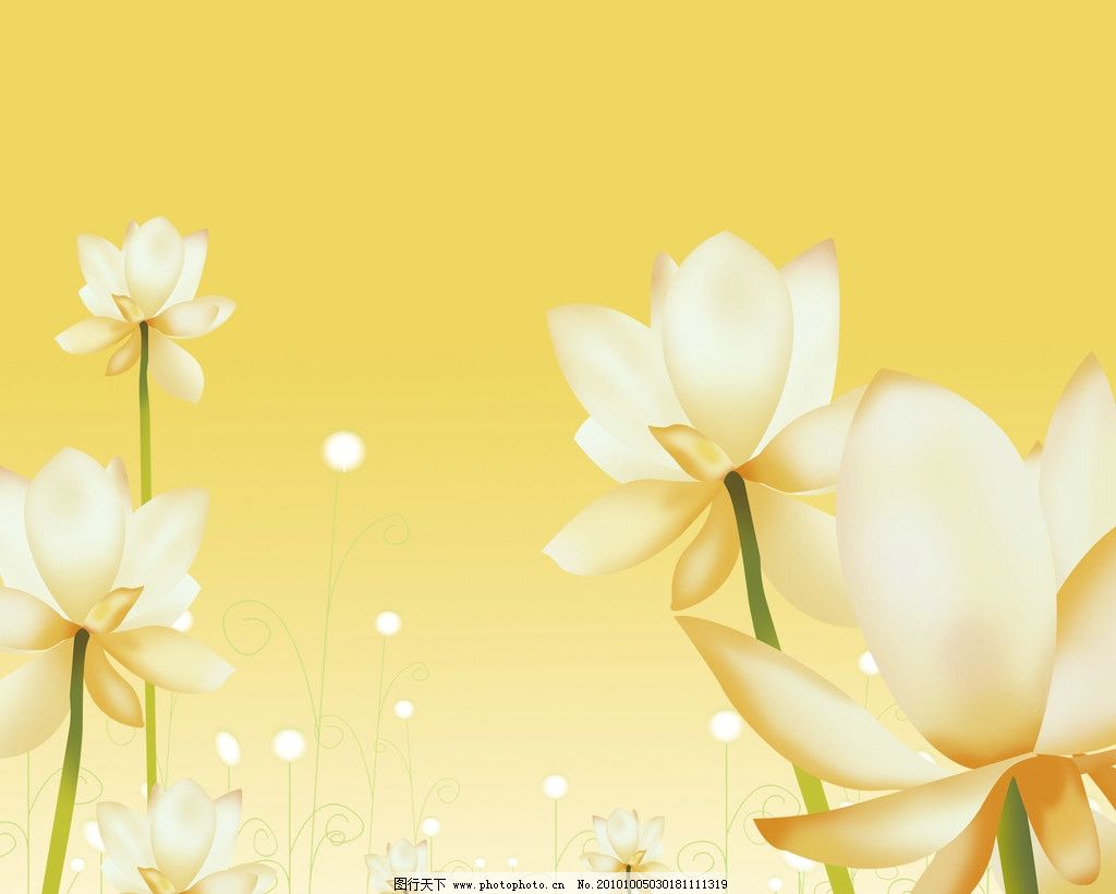 莲花 荷花 移动门 黄色背景 插画 移门 中国风 花朵 广告设计模板图片