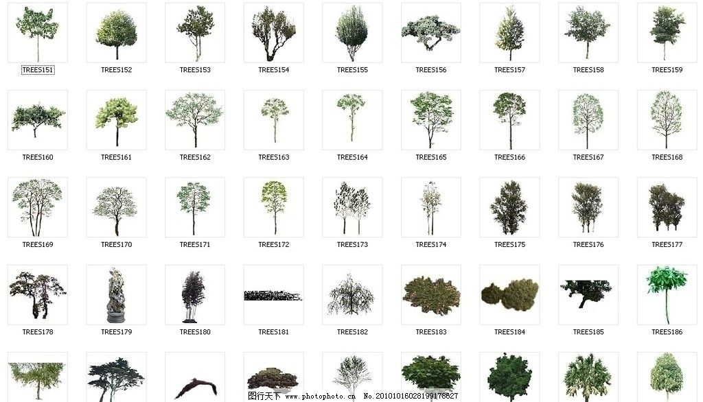 植物素材 植物后期素材 效果图素材 环艺 小品 园林植物 树 树木