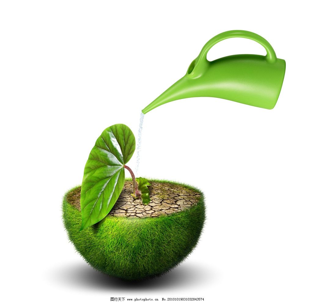 浇水 幼苗图片,绿叶 植物 环保 绿树 成长 生命-
