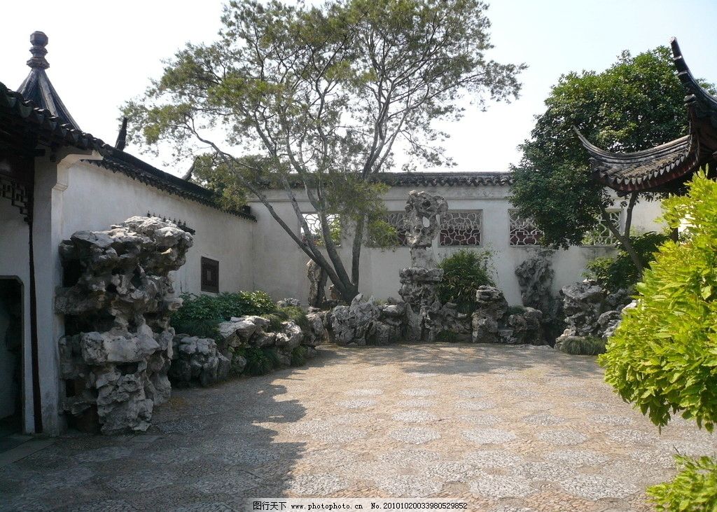 苏州 园林 植物 旅游 拍摄 苏州 园林 植物 旅游 拍摄