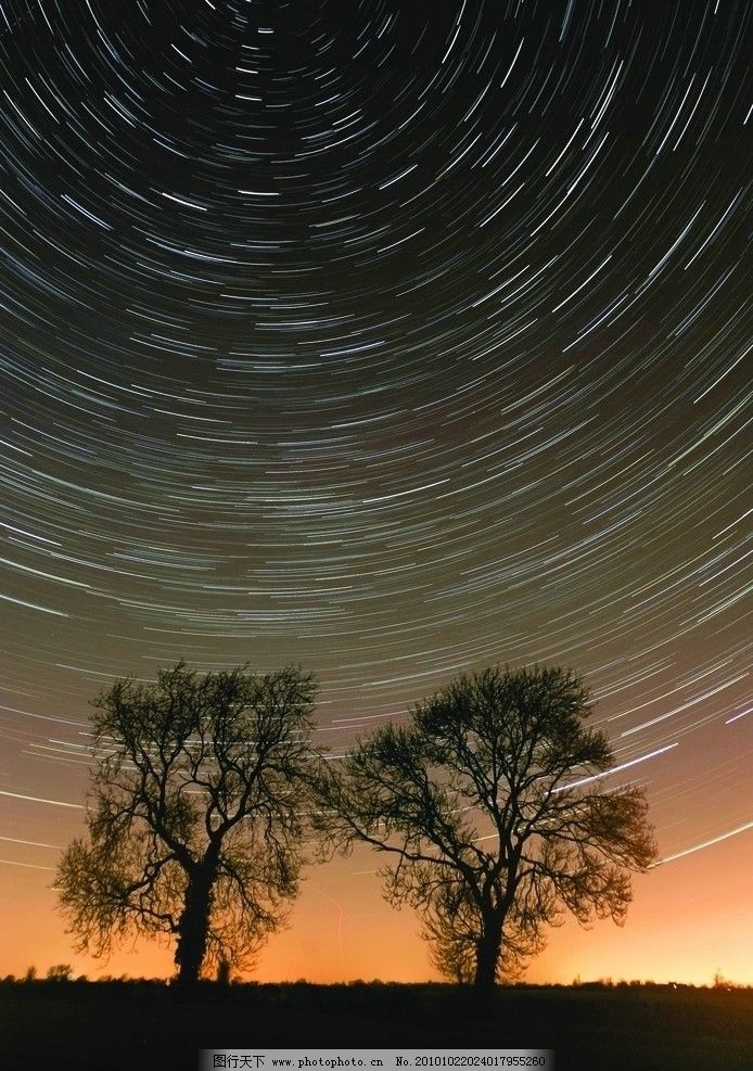 星空下的树 星空 大树 流星 夜晚 夜空 风景 风光 星星 自然风光 自然图片