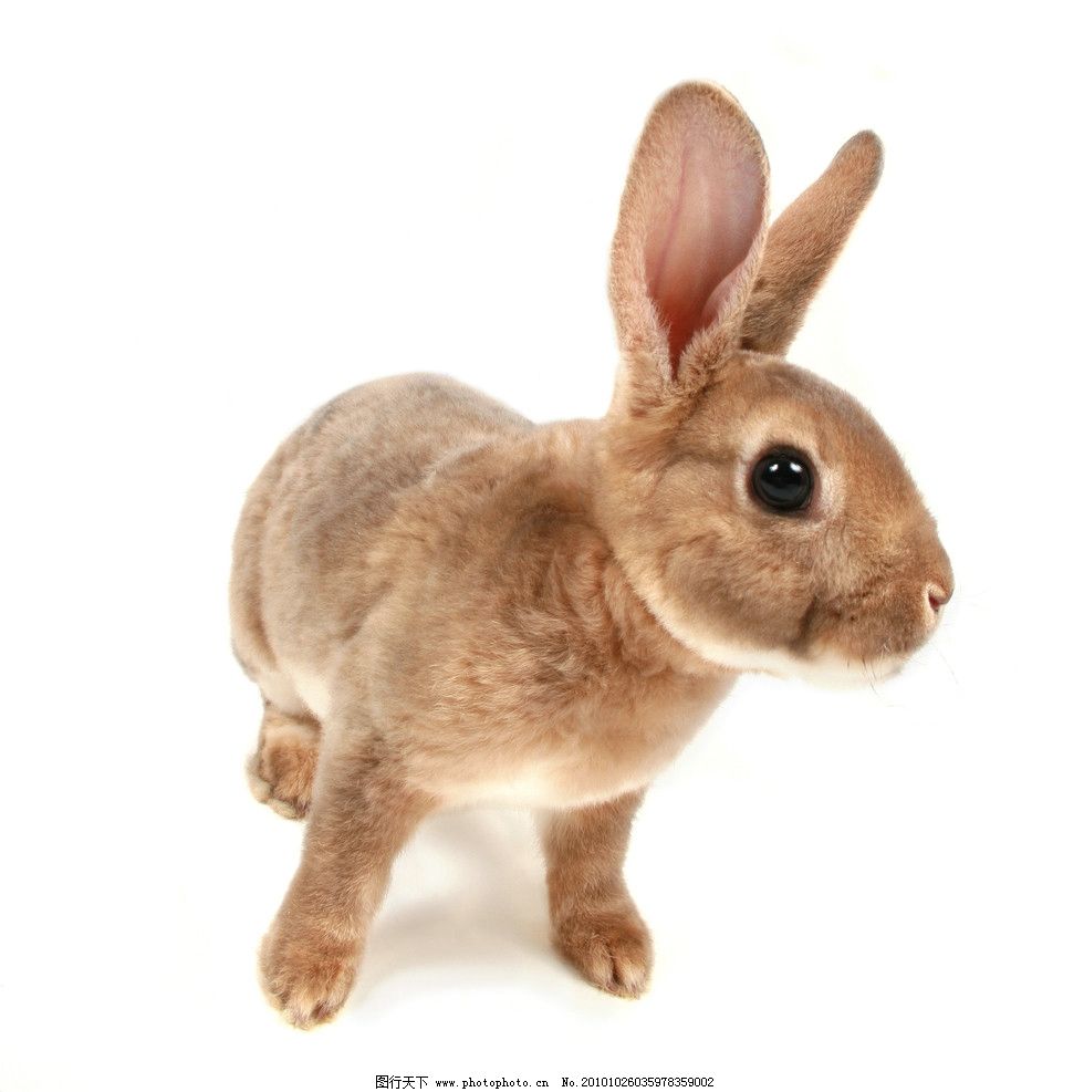 好牌子种类推荐……