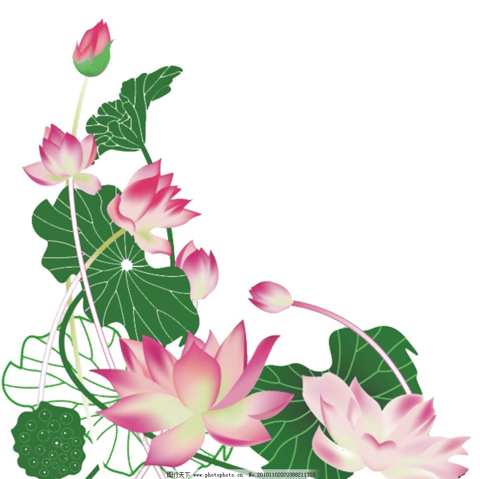 红花绿叶猜成语_红花绿叶图片(2)