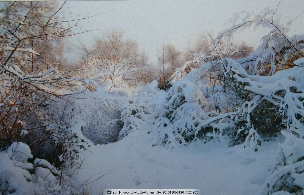 白山晨曦 陶世虎 水彩画 写实 雪景 树木 冬天 中国画