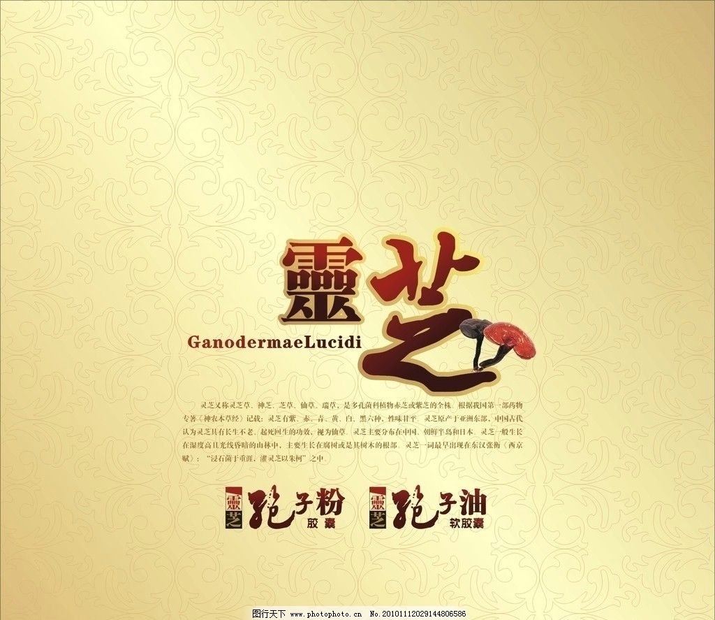 灵芝孢子油图片