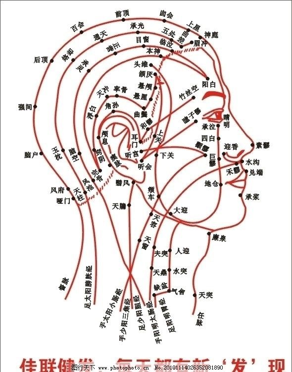 头部穴位图图片