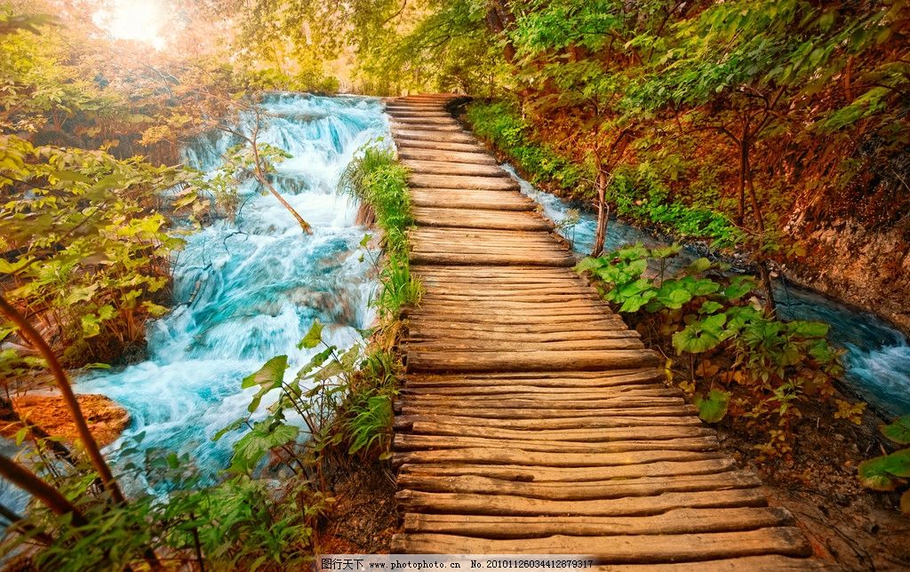 森林小桥流水高清图片_山水风景_自然景观_图行天下