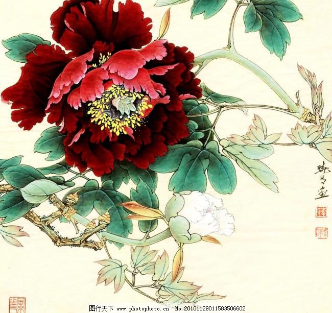 暖香醉艳图片,彩墨画 工笔画 国花 国画艺术 红