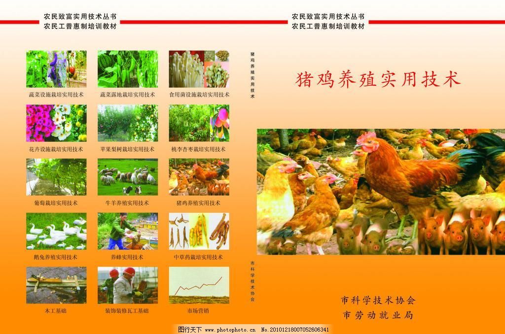 猪鸡养殖技术封皮图片_企业文化海报_海报设